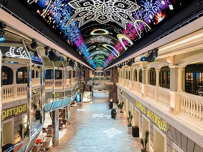 MSC Euribia