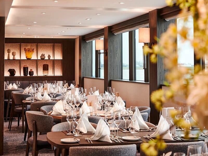 MS Viva One